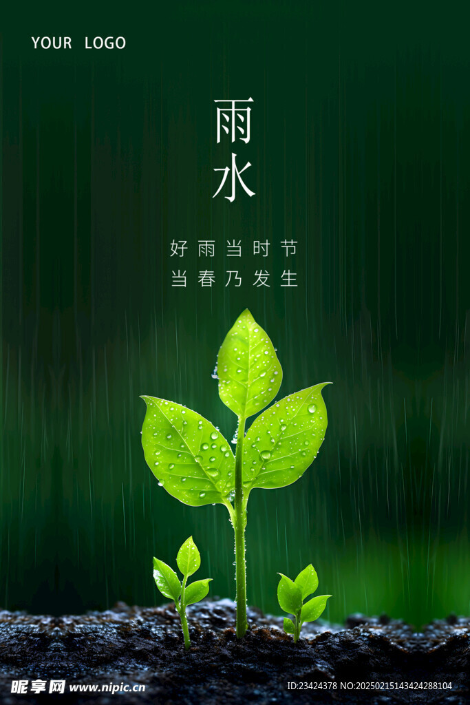 雨水海报