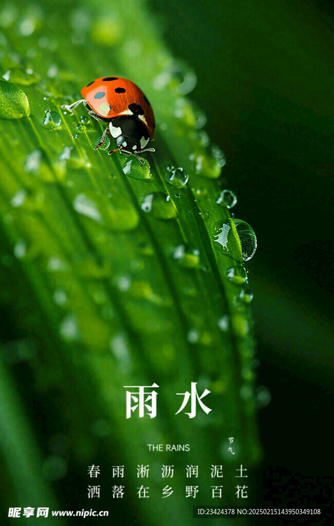 雨水手机海报