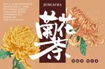 茶文化包装