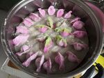 冬至饺子宴