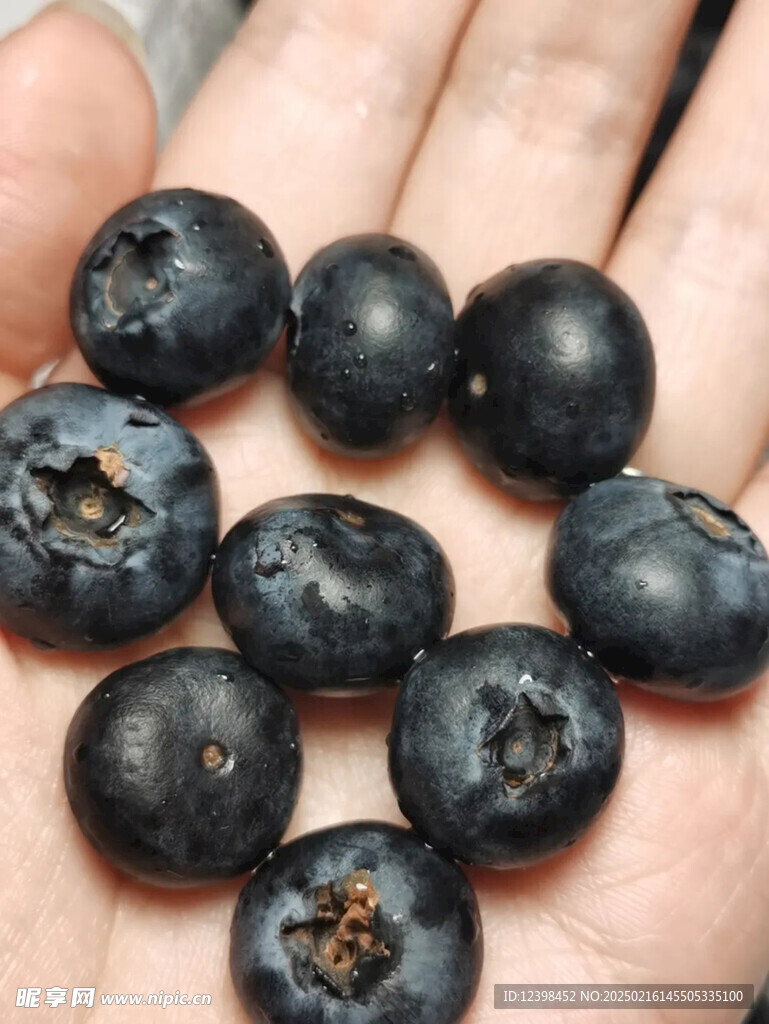 蓝莓