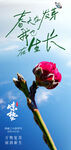 传统24节气惊蛰创意海报