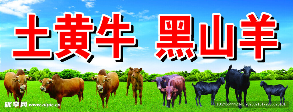 黑山羊灯箱设计