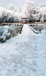 公园雪景白色