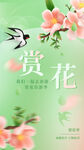 春日赏花活动海报