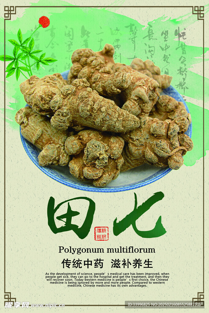 田七中药