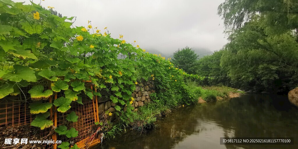 樱桃园溪流