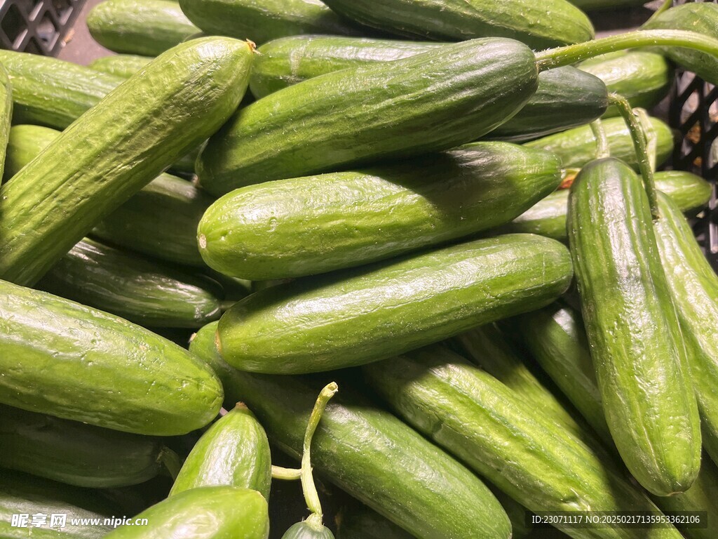 黄瓜
