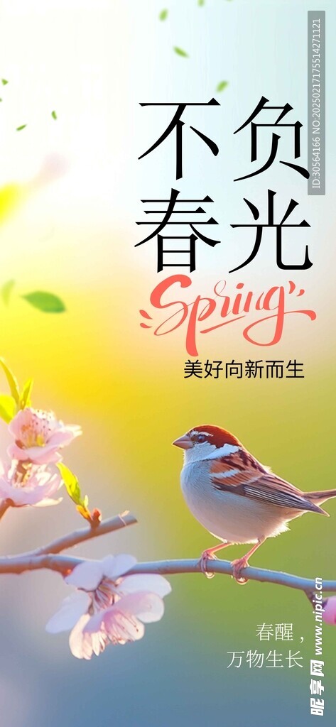 不负春光日常活动海报