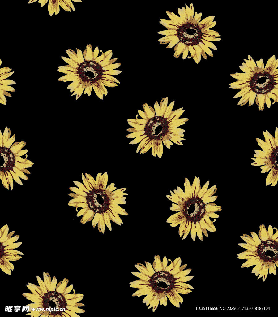 雏菊