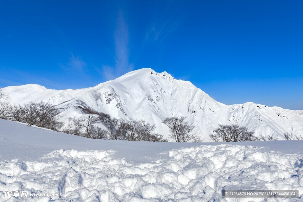 雪山