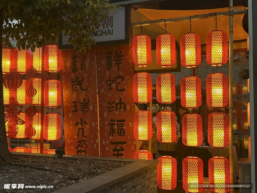 蛇年灯笼