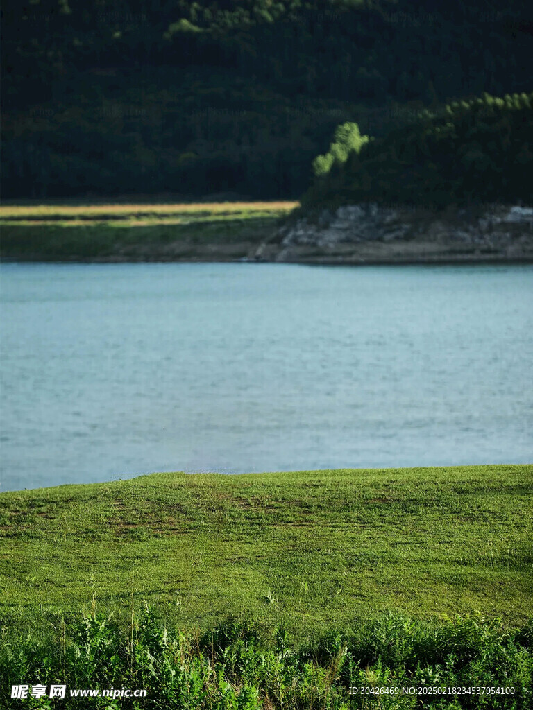 草地湖面