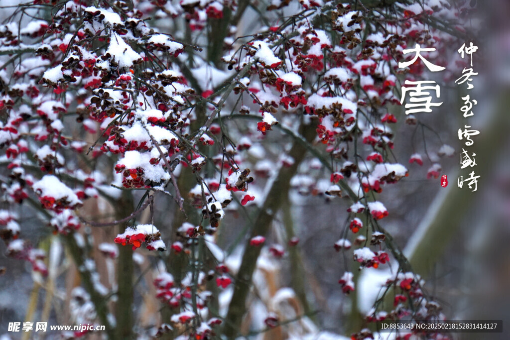 下雪