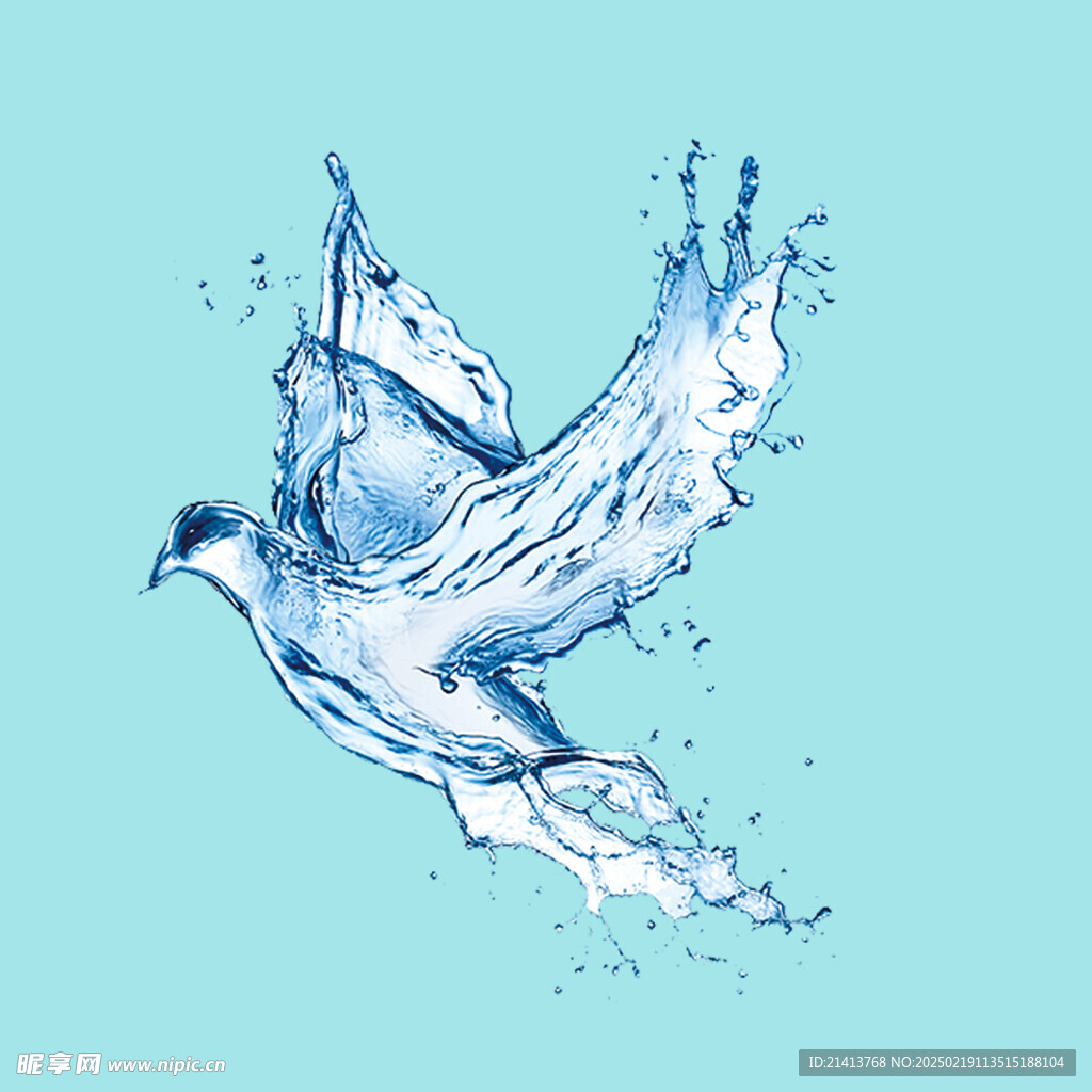 水纹鸽子