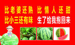 西瓜  美食