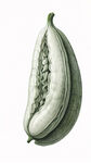 AI生画