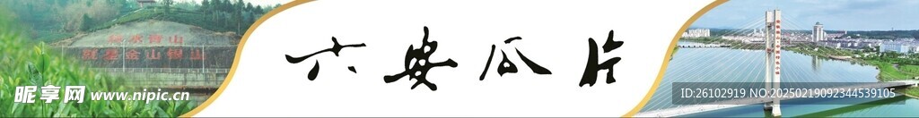六安瓜片 独山镇 茶园 