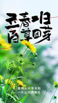 立春