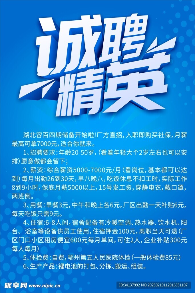 诚聘精英 招聘 海报 