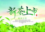 新茶上市