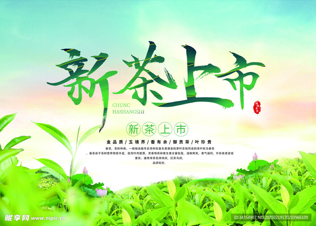 新茶上市