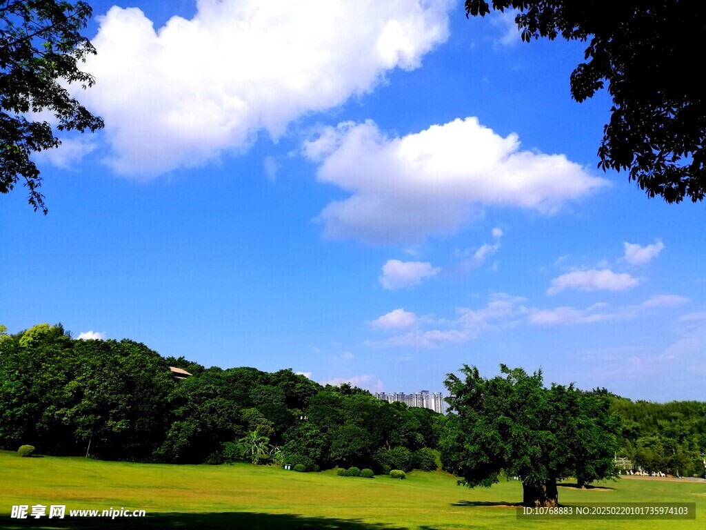 青秀山草地