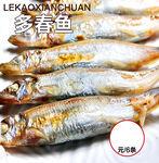 多春鱼