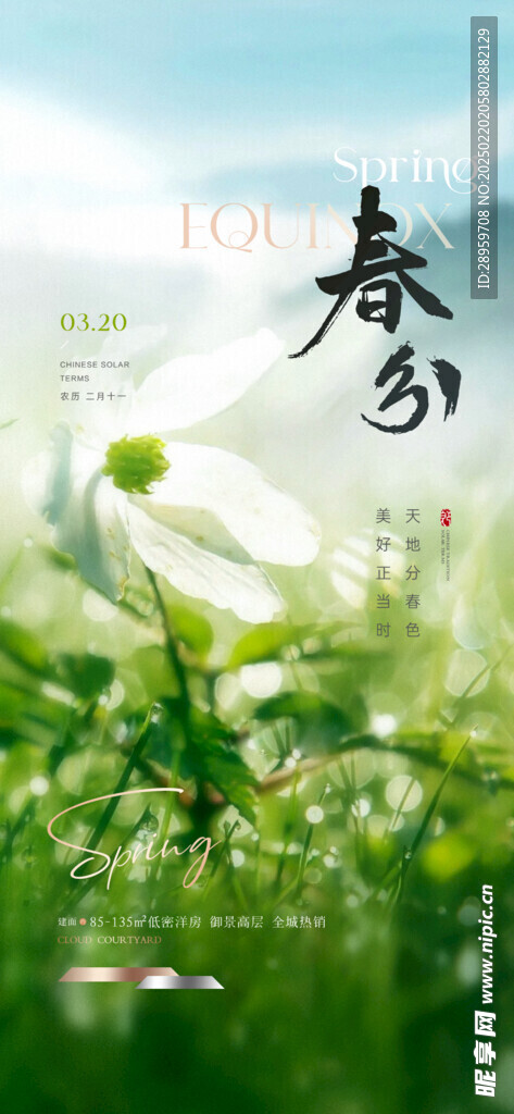 春分海报 