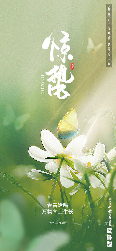 惊蛰
