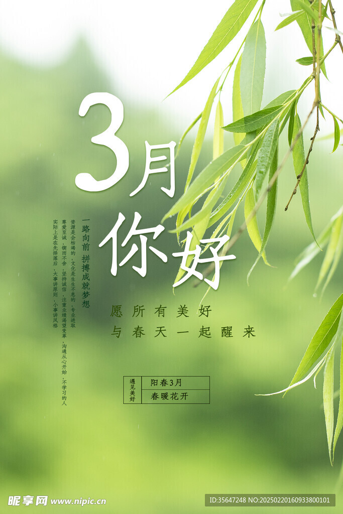 3月你好