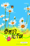 赏花春游花朵品牌春季海报