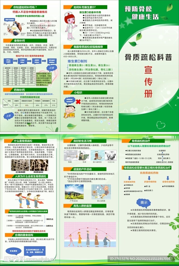 骨质疏松折页 骨质疏松宣传册 