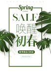春季上新