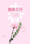 春季上新