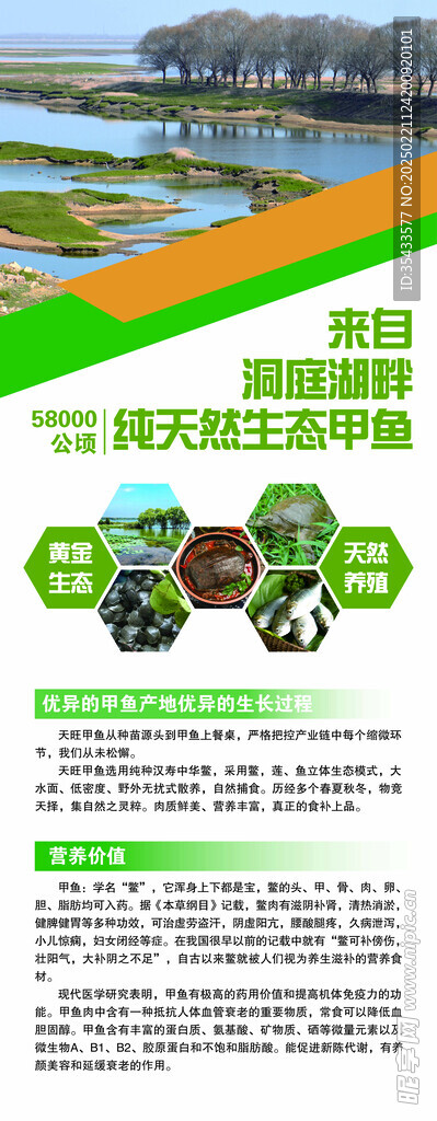 生态易拉宝