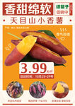 香薯海报