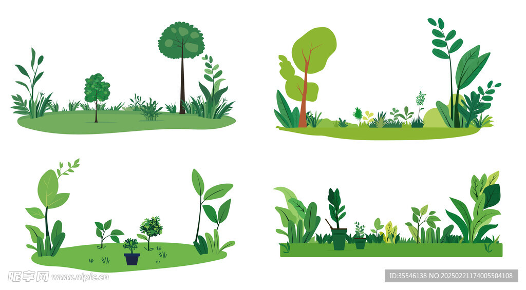 植物插画