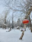雪乡