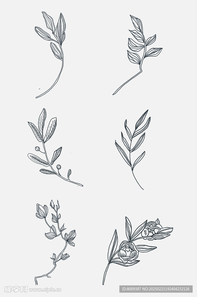 线描花卉图案元素