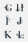 手绘线描花卉英文字母艺术字