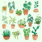手绘绿植盆栽插画