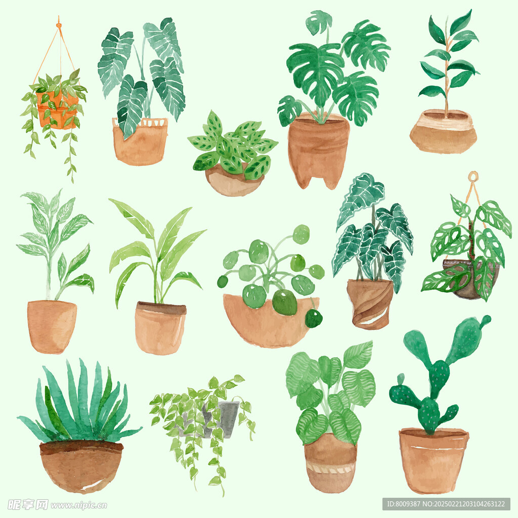 手绘绿植盆栽插画
