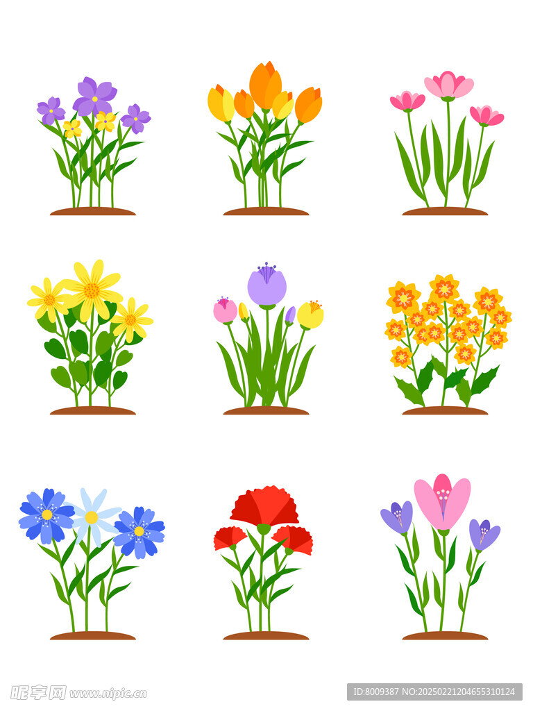 扁平风花卉插画