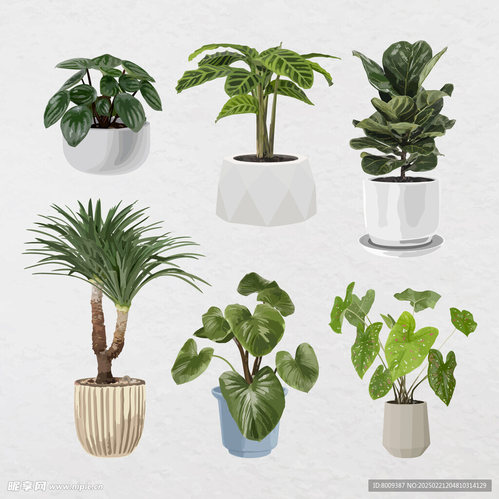 卡通盆栽绿植插画