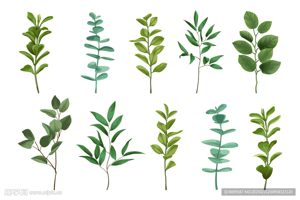 绿植树枝树叶矢量插画