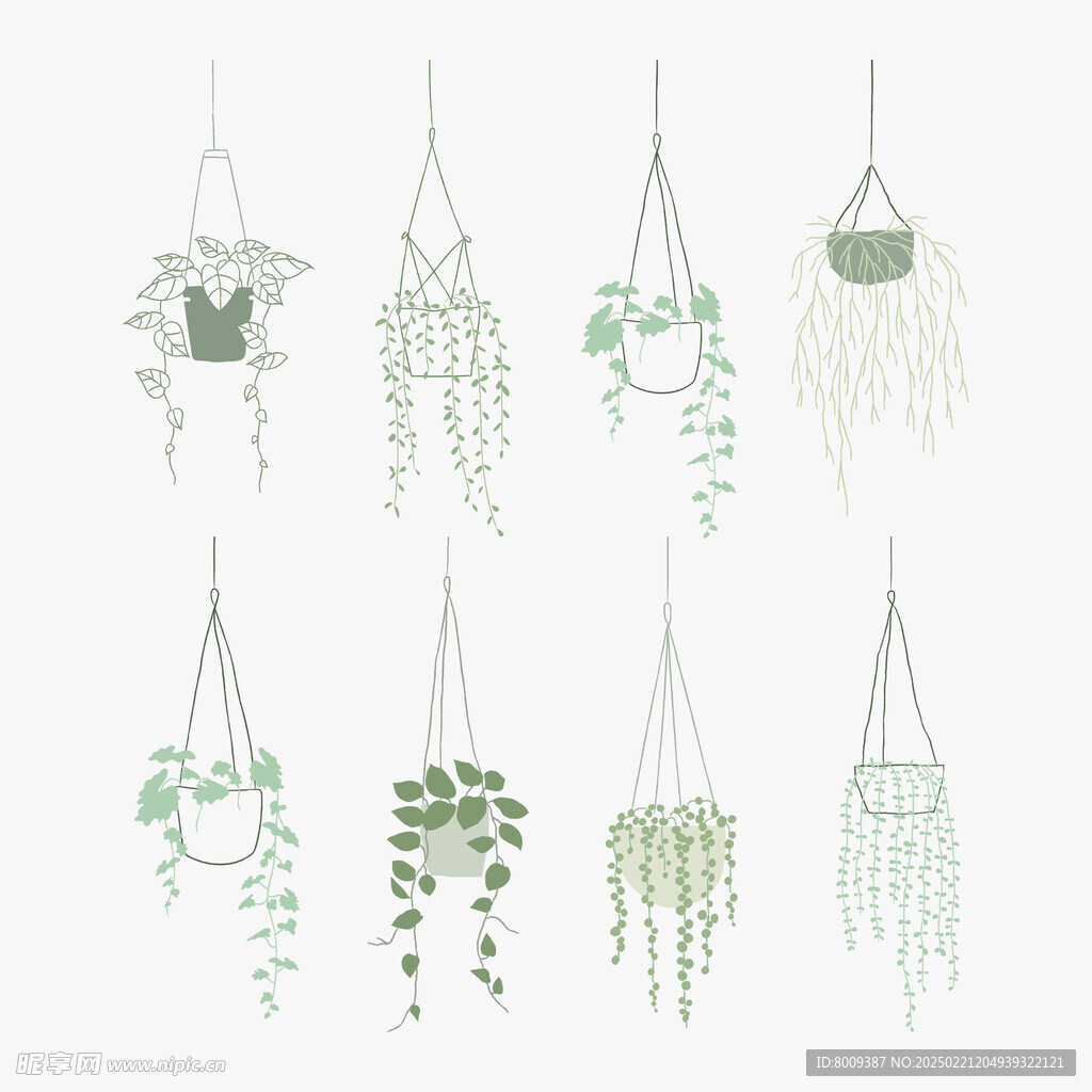 扁平风吊兰绿植矢量插画