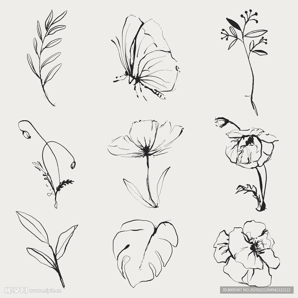 素描蝴蝶花卉绿植插画元素