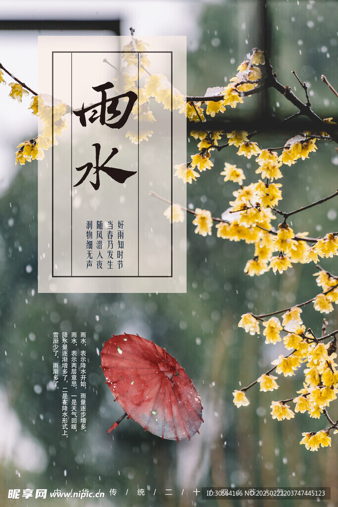 雨水