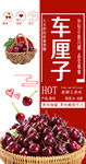 车厘子小常识吊旗